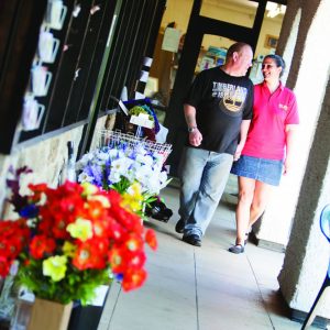 A stroll around the courtyard A stroll around the courtyard